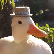 M S