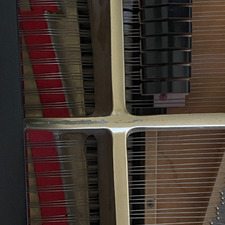 Bobbi Sophia Waldron