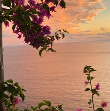 astrid ˚ ༘♡ ⋆｡˚ ⋆·˚ ༘ * ˚◞♡ ⃗