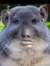 Ethan P...