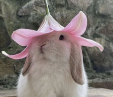 isma ૮꒰ ˶• ༝ •˶꒱ა ♡