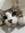 member photo member photo