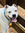 member photo member photo