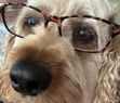 Booknerd