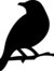 Lark