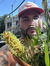 Yuval S...