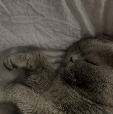 isabel ❤️‍🩹