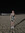 Ashley Austin (ashleyaustinn) | 1 comments