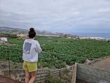 LORENA