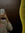member photo member photo