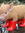 Peter Schweinchen