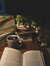 Literaturelover333