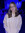 Ryan Elise Sullivan