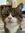 Eva