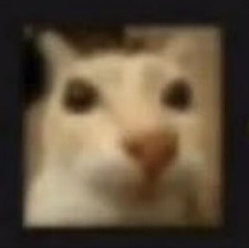 JP
