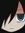 WWW0