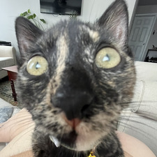 Zoë