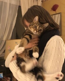 °｡⋆jillian, again⋆｡°