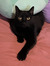 Myah  