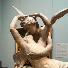 Patricia C