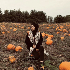 Faiza