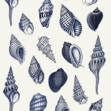 Lucy Cornett