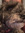 RachelE Morris | 9 comments
