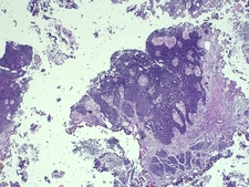 Juan Carlos Rodriguez