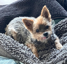 Lola