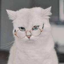 هناء سليمان