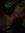 sophiee  | 1 comments