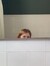 Greta S...