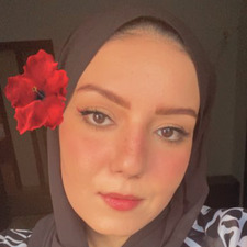 ليلى  عبدالعال سالم 