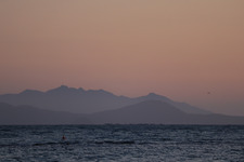 Cécile Morgenthaler