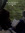 member photo member photo