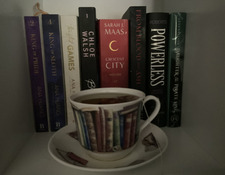 Stella the Romantasy reader