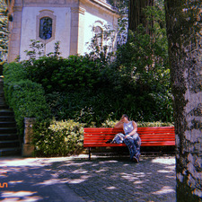 Leonor
