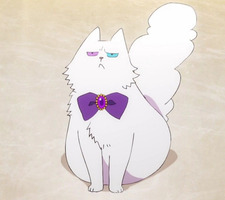 Aime