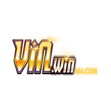 VINWIN M4