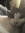 Jasper