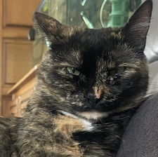 Julie