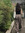 naty⋆౨ৎ˚⟡࣪