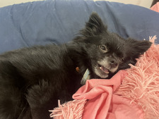 ⋆ ˚｡⋆୨ Jinx Reads ୧⋆ ˚｡⋆