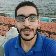 أحمد أبورية