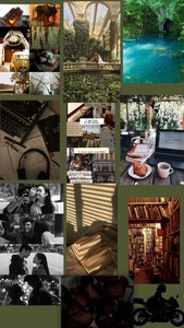 Bridgette’s Bookshelf 