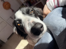 Lucía 