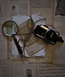 jan .° ✧˙₊ ⊹