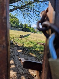 ¿?