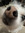 Jacob Ervin | 2 comments
