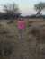 Brix Els